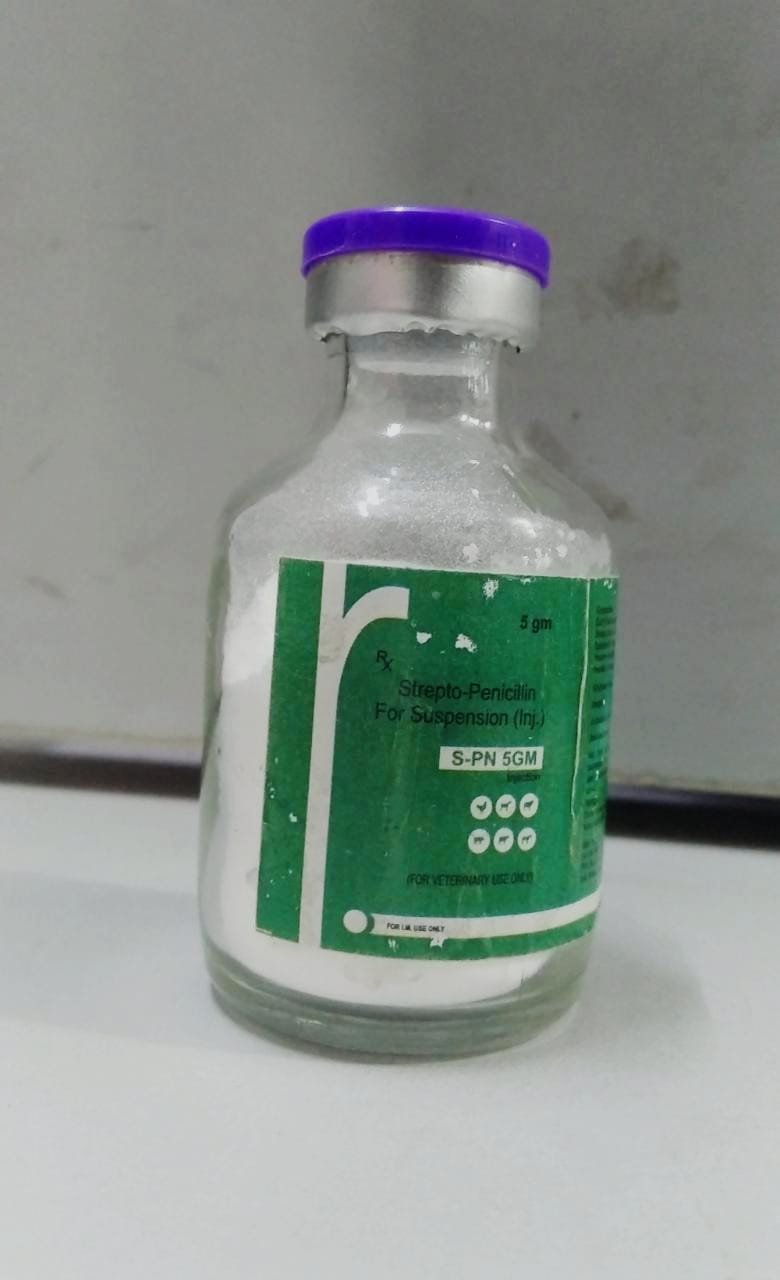 S-PN 5 GM